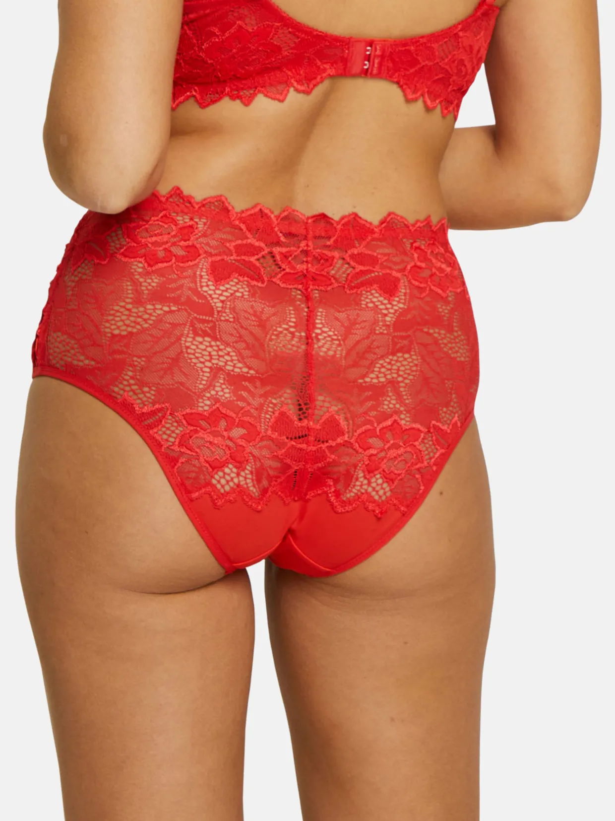 Sans Complexe Culotte taille haute Arum Prima