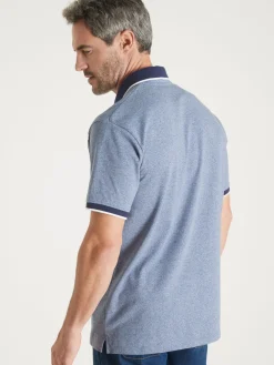 Homme Daxon Polo manches courtes