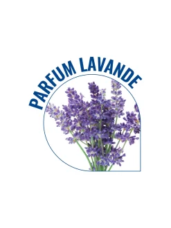 Daxon Semelles massantes parfum lavande