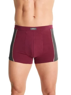 Homme Daxon Shorties coton stretch, lot de 4