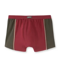 Homme Daxon Shorties coton stretch, lot de 4